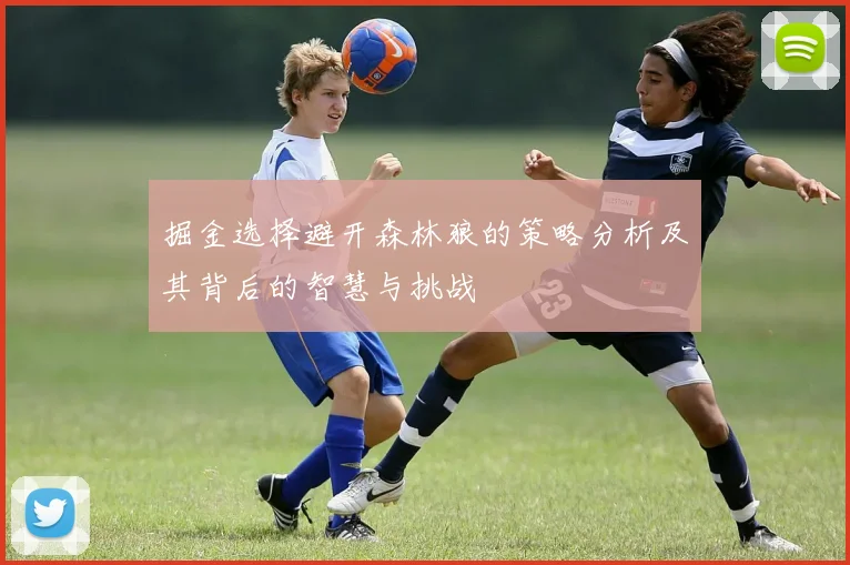 掘金选择避开森林狼的策略分析及其背后的智慧与挑战