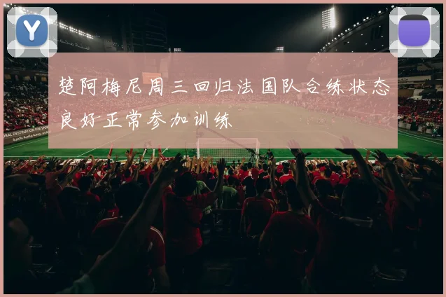 楚阿梅尼周三回归法国队合练状态良好正常参加训练