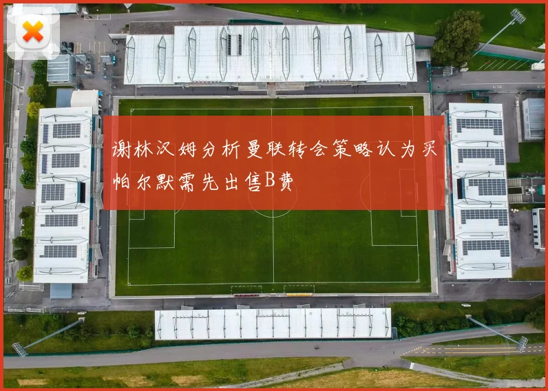谢林汉姆分析曼联转会策略认为买帕尔默需先出售B费